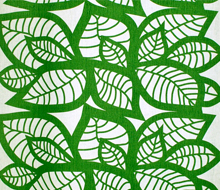 Hosta, Mairo